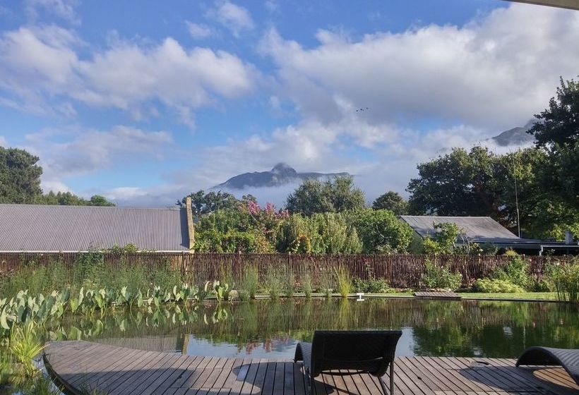 فندق The Hideaway