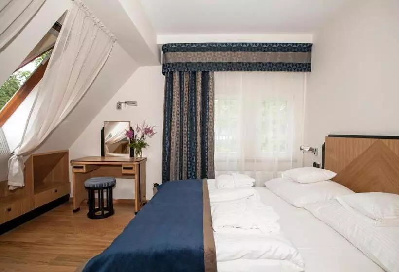 Hotelli Villa Alina Medical Spa
