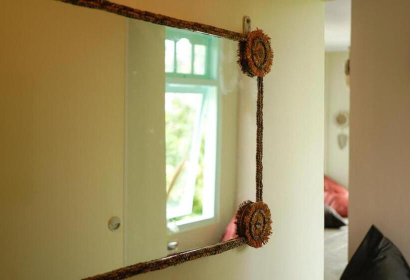 הוסטל Bajo Bunkhouse