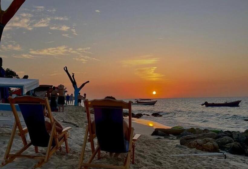 Общежитие Mandala Beach Club