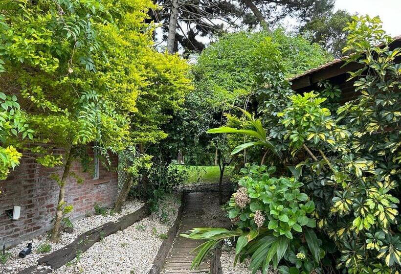 فندق Baden Baden Carilo