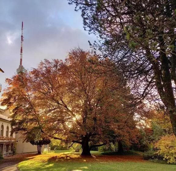 ホテル Chrischona Berg