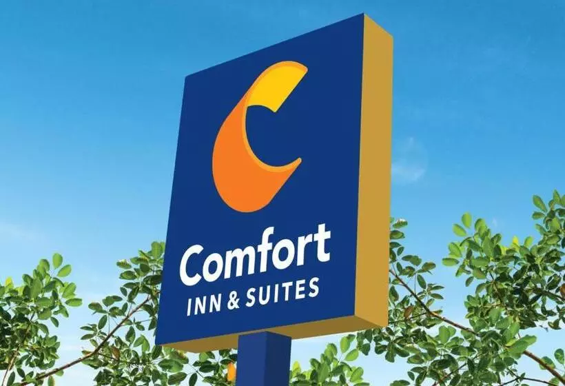هتل Comfort Inn & Suites At Sanford Sports Complex