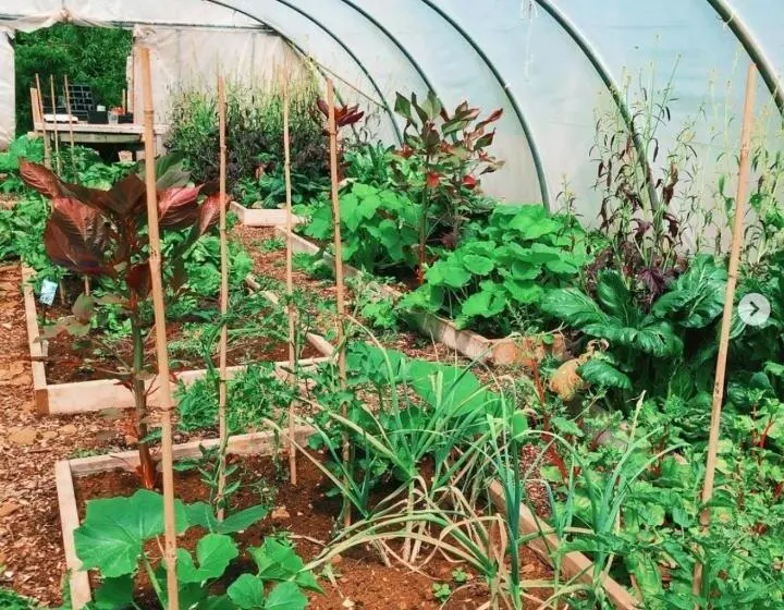 Hotelli The Holford Arms