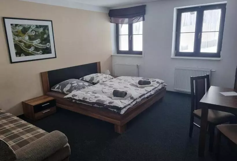 Pension Max Klínovec