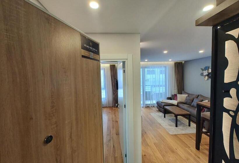 Velika Recepcija Cc Mtv