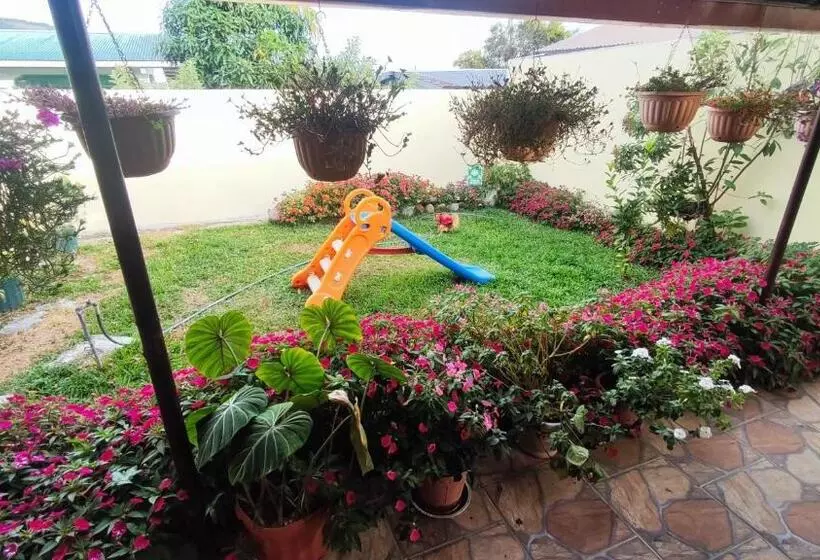 Aires Frescos De Boquete