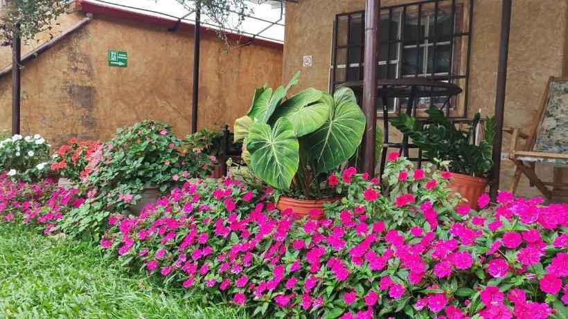 Aires Frescos De Boquete