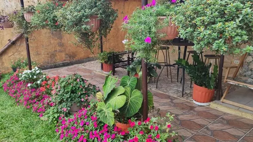 Aires Frescos De Boquete