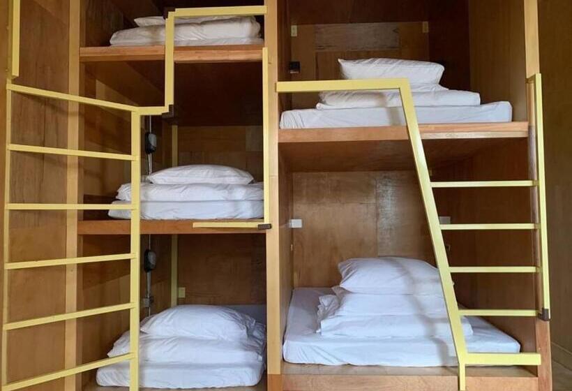 هاستل Museaum 沐洋人