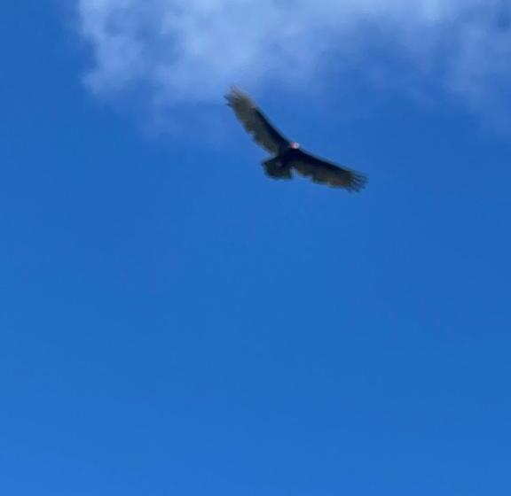 مبيت وإفطار Casa Faro