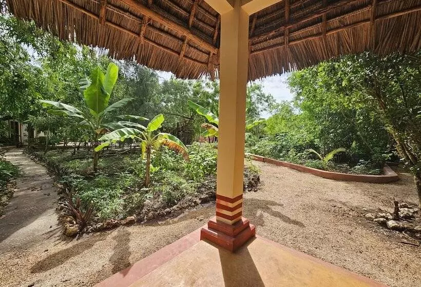 Aamiaismajoitus (B&B) Karibu Maisha