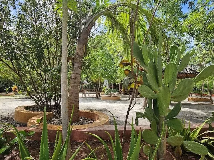 Aamiaismajoitus (B&B) Karibu Maisha