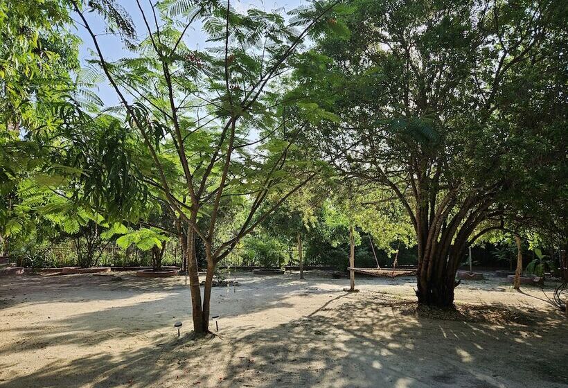 住宿加早餐 Karibu Maisha