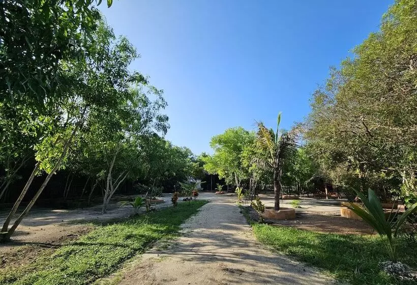 Aamiaismajoitus (B&B) Karibu Maisha