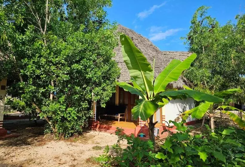 Aamiaismajoitus (B&B) Karibu Maisha