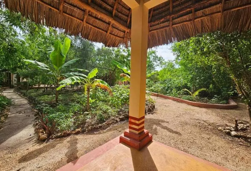 Aamiaismajoitus (B&B) Karibu Maisha