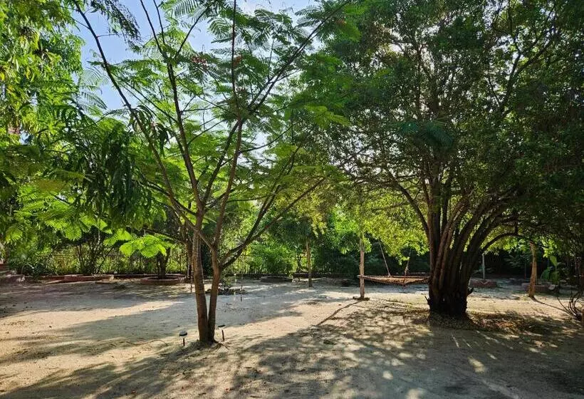 Aamiaismajoitus (B&B) Karibu Maisha