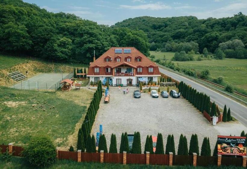 Bed and Breakfast Pensiunea Si Restaurant Erdo