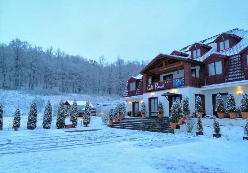 Bed and Breakfast Pensiunea Si Restaurant Erdo