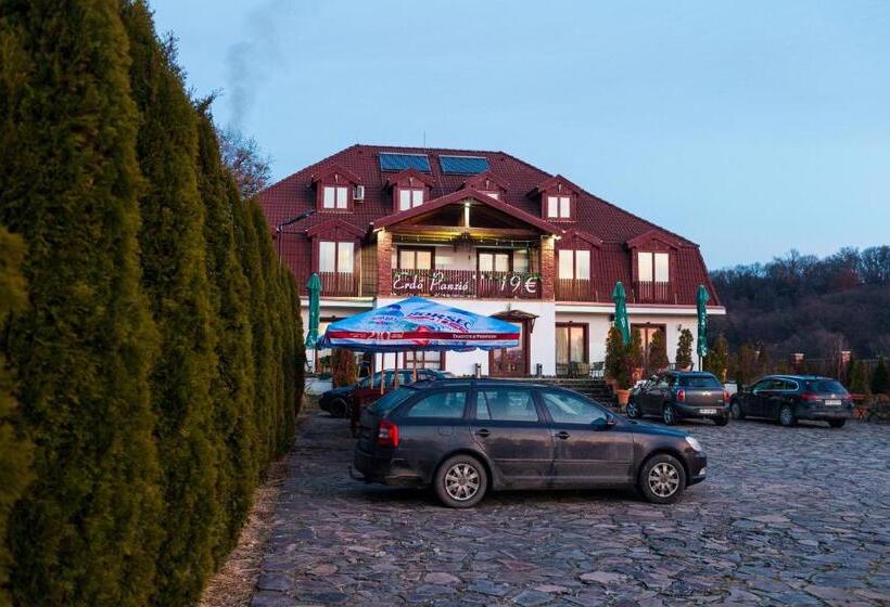 Bed and Breakfast Pensiunea Si Restaurant Erdo