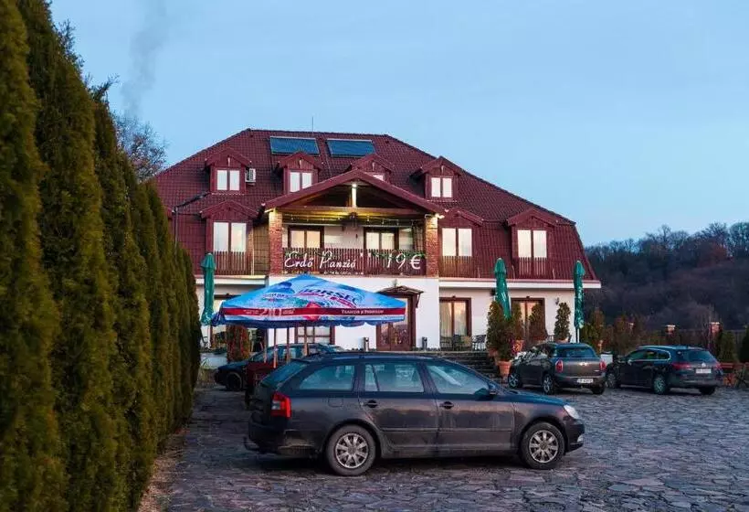 ベッドアンドブレックファースト Pensiunea Si Restaurant Erdo