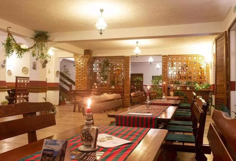 ベッドアンドブレックファースト Pensiunea Si Restaurant Erdo