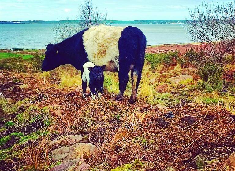 צימר Railway Lodge