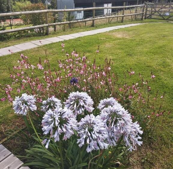 Bed and Breakfast Suite Familiale Mamito Et Papito