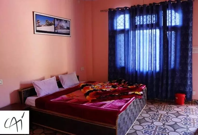 ホテル Chail Alone Inn