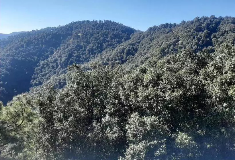 ホテル Chail Alone Inn