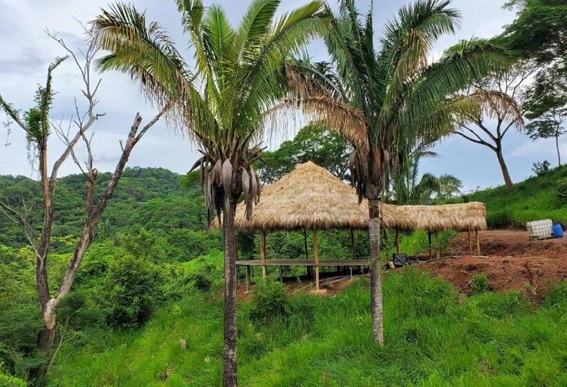 캡슐 호텔 Alegria River Hideaway And Retreats