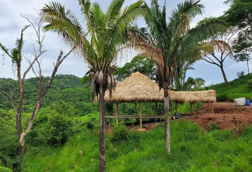 カプセルホテル Alegria River Hideaway And Retreats