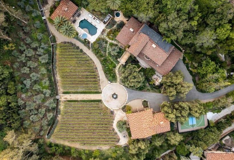 ホテル Peppertree Canyon 7bd 6.5ba Luxe Urban Winery