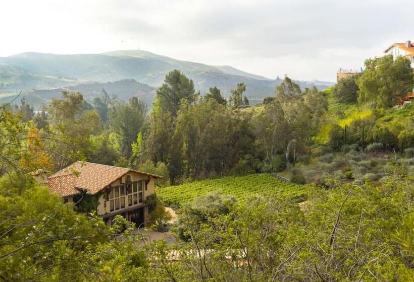 ホテル Peppertree Canyon 7bd 6.5ba Luxe Urban Winery