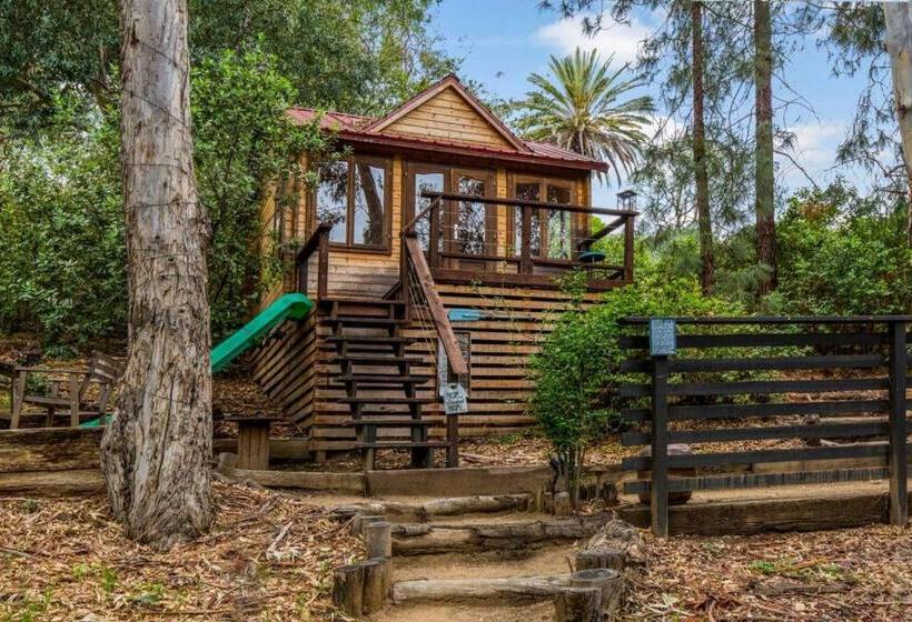 ホテル Peppertree Canyon 7bd 6.5ba Luxe Urban Winery