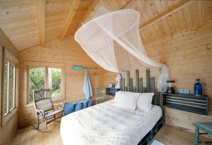 ホテル Peppertree Canyon 7bd 6.5ba Luxe Urban Winery