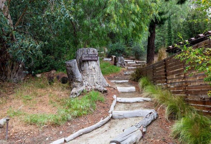 ホテル Peppertree Canyon 7bd 6.5ba Luxe Urban Winery