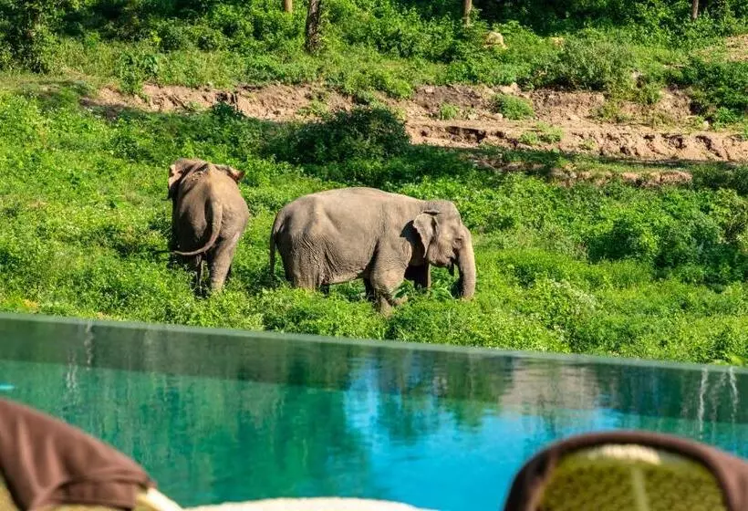 هتل Wild Cottages Elephant Sanctuary Resort