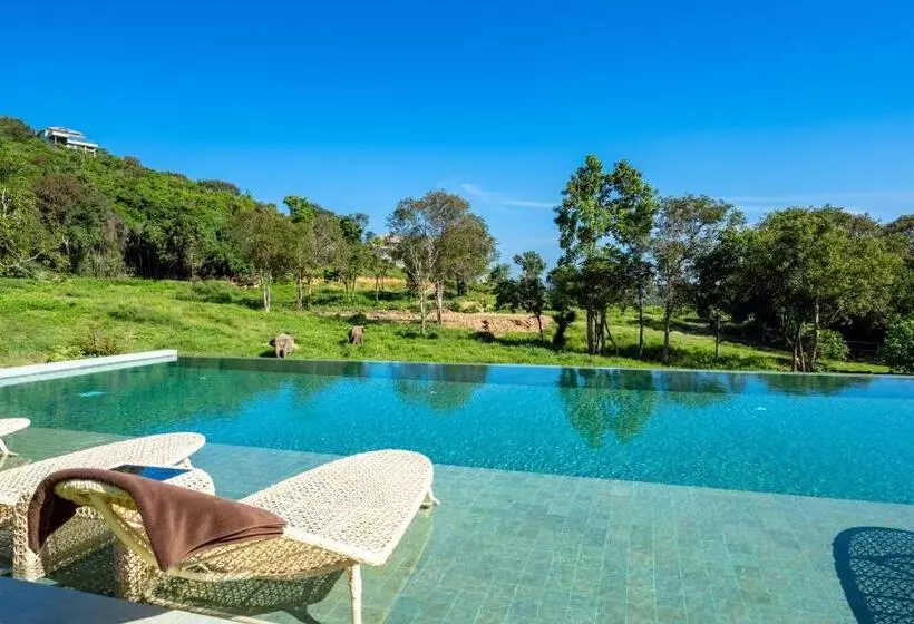 هتل Wild Cottages Elephant Sanctuary Resort