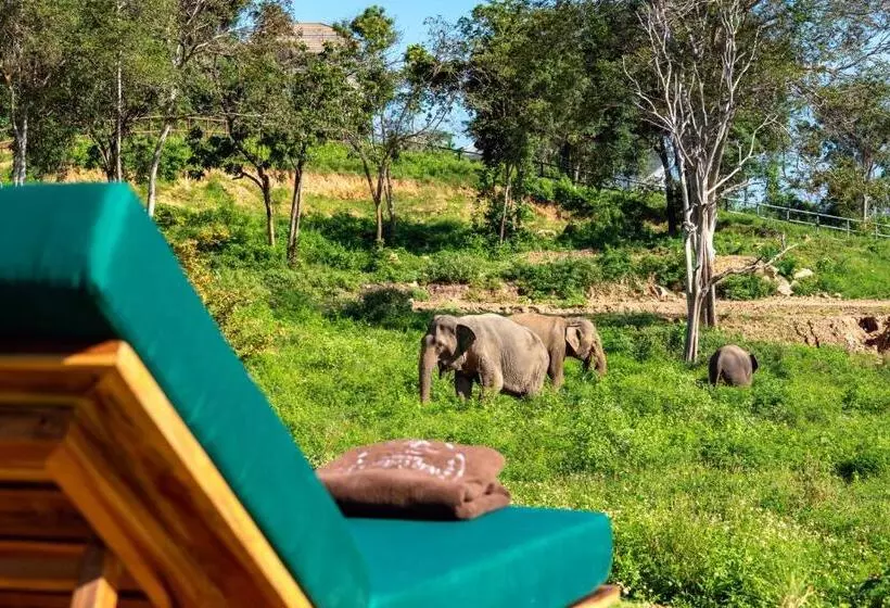 هتل Wild Cottages Elephant Sanctuary Resort