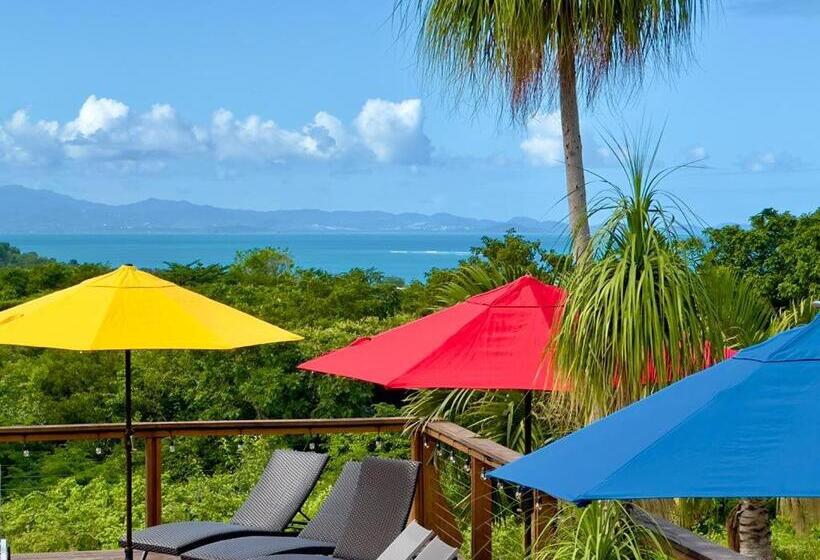 Old Crow Hotel And Suites