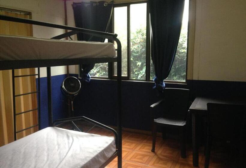 پانسیون Beans & Coffee Lodge