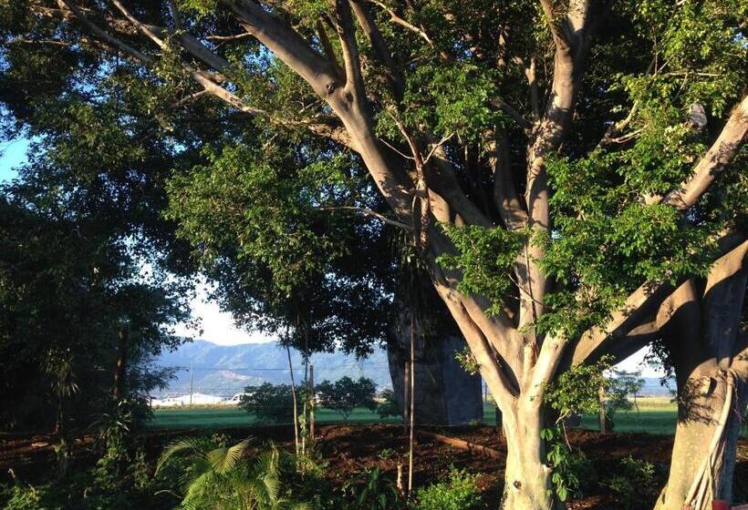 پانسیون Beans & Coffee Lodge