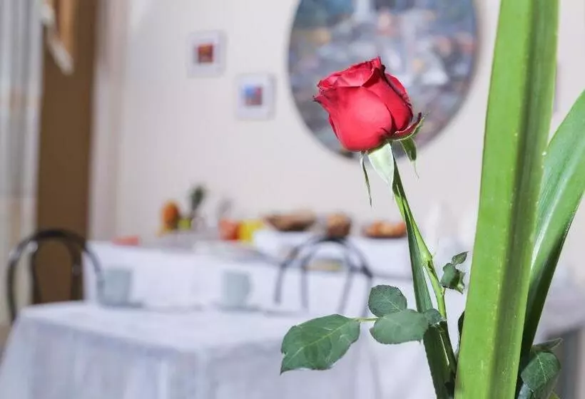 پانسیون Hostal Punta Arenas