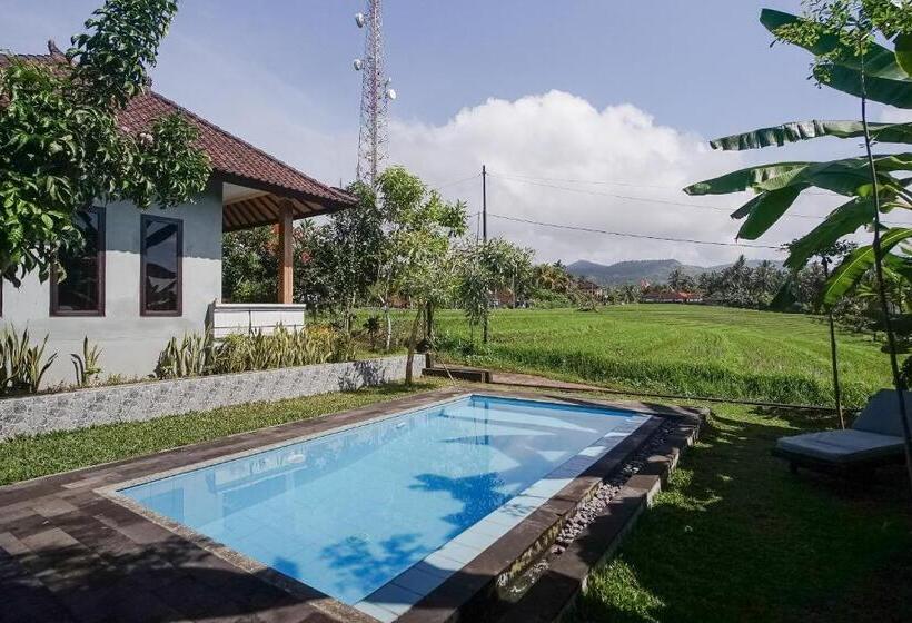 פנסיון Mejan Home Stay