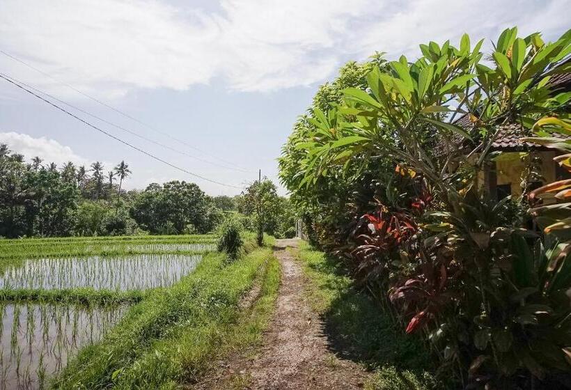 פנסיון Mejan Home Stay