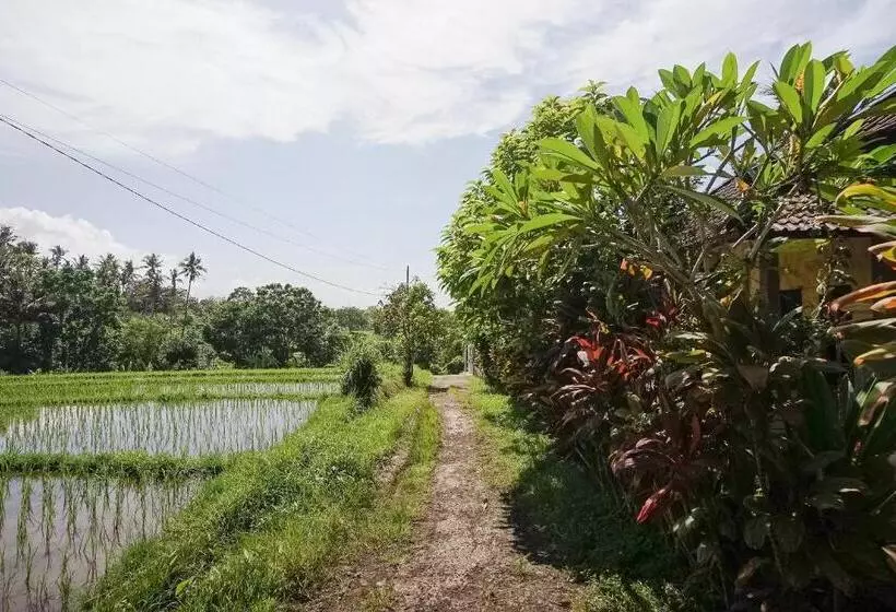 Majatalo Mejan Home Stay