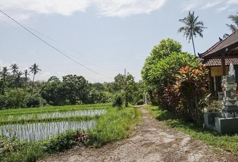 פנסיון Mejan Home Stay