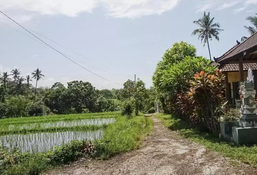 Majatalo Mejan Home Stay